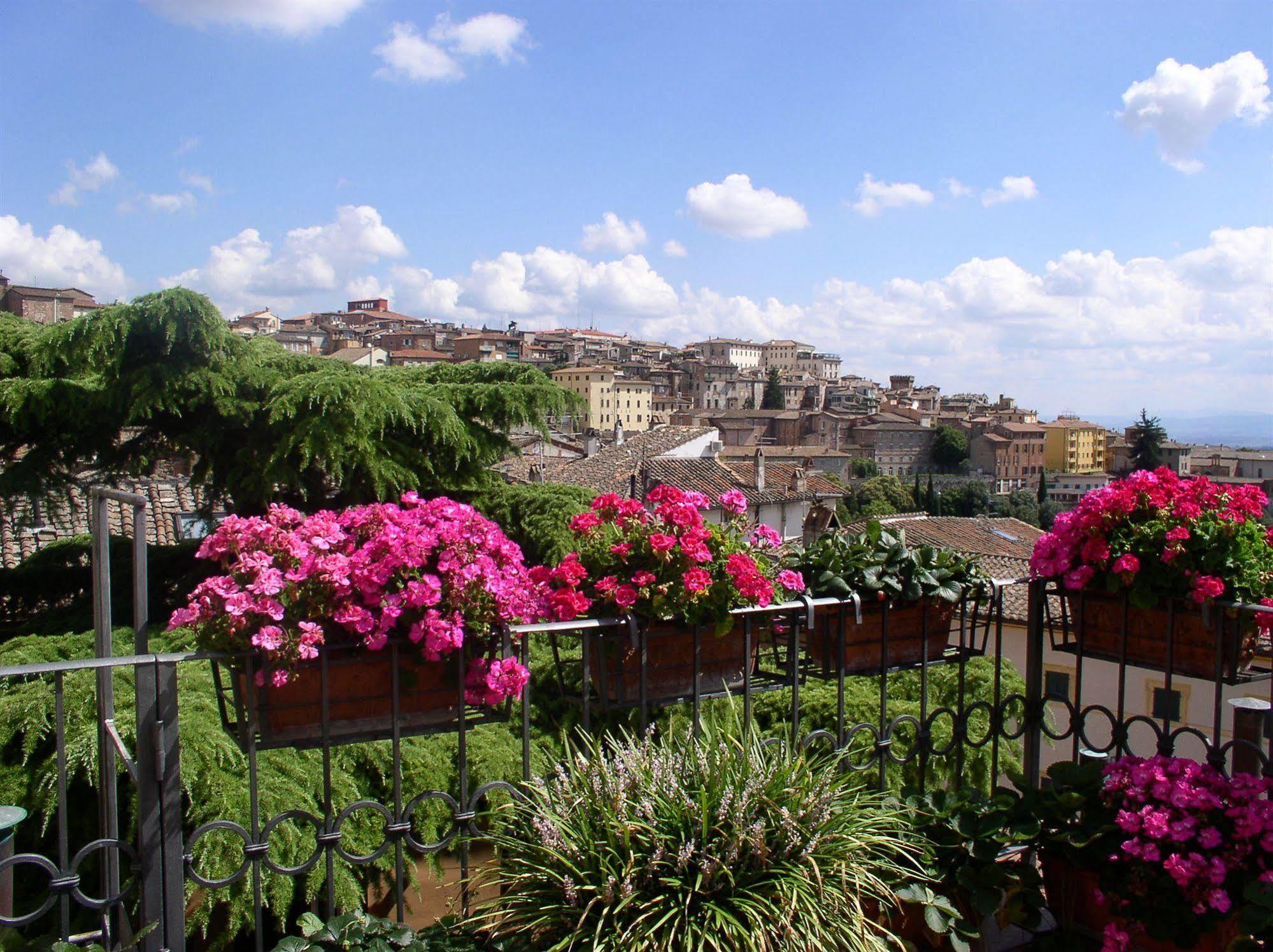 Primavera Mini Hotel 3*